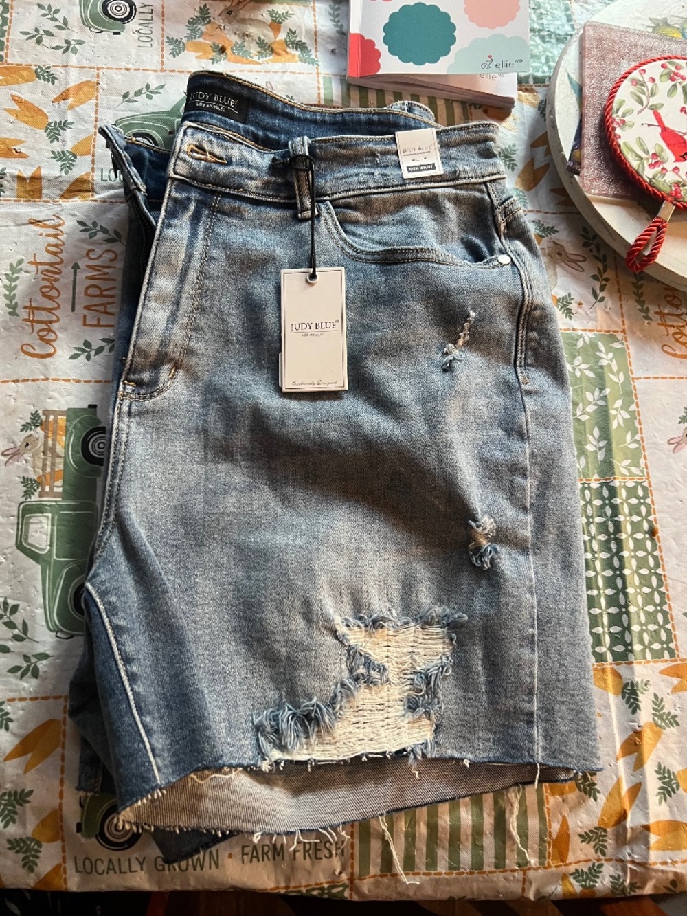 Judy Blue Shorts